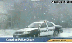 canadian_carchase.gif