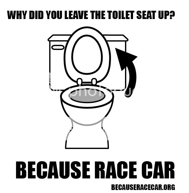 WHY-DID-U-LEAVE-THE-TOLIET-SEAT-UP.jpg