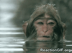 GIF-bored-boring-disinterest-doesnt-care-dont-care-meh-monkey-Unimpressed-uninterested-whatever-GIF.gif