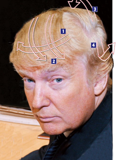 http://9thcivic.com/gallery/albums/post/trump_hair.jpg