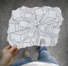 pencil-7.jpg pencil-7.jpg