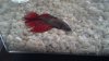 2013-03-16_09-59-15_876.jpg