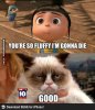 agnes_fell_in_love_with_grumpy_cat-213869.jpg