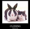 cloning.jpg