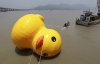 duck.jpg