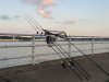 carp rods-1.jpg