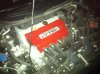vtec cover.jpg