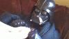 tumblr_nwwp3sBwPd1ug77mso1_540.gif