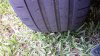 20160926_143803.jpg