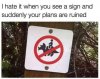 FB_IMG_1504203700776.jpg