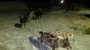 Dog Sledding 2.jpg