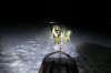 Dog Sledding.jpg