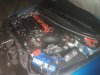 IMAG0179.jpg