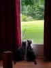 Boots and Stormy 1.jpg