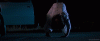 0BFFD38A-4BFE-49DB-A259-AD2C58A7C74B.gif