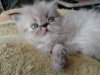 DSC00064.JPG