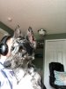 E6B59363-B2C0-405B-9633-BB575FAC3692.jpeg