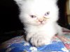 DSC00438.JPG