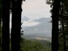 457BF76E-AED1-46FE-8479-A762FDD31BD4.jpeg