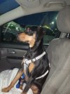 20201130_062751.jpg