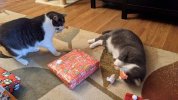 FB_IMG_1608940820298.jpg