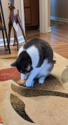 FB_IMG_1608940823132.jpg