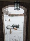 PXL_20210217_153242391.jpg