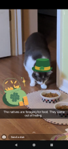 1616506279314.png