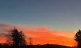 CC9E994D-AE9F-4BCC-AB13-D084A4990705.jpeg