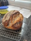 IMG_7267.jpeg