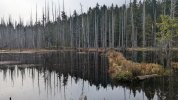 PXL_20230319_175919288.jpg
