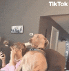 IMG_8968.gif