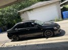IMG_2301.jpeg
