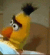 1693707165200.gif