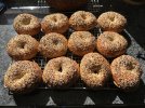 IMG_8150.jpeg