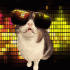 1699065189744.gif