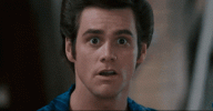 1743979206552.gif