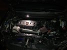 IMG_9606.jpeg