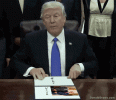 IMG_3006.gif