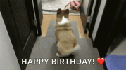 1754798823340.gif