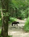IMG_3303.jpeg
