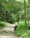 IMG_3304.jpeg