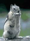 1756434648243.gif