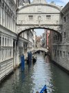 IMG_2456.jpeg