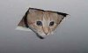 Ceiling-cat...-always-wat-007.jpg