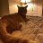 hawaiipartii_9398
