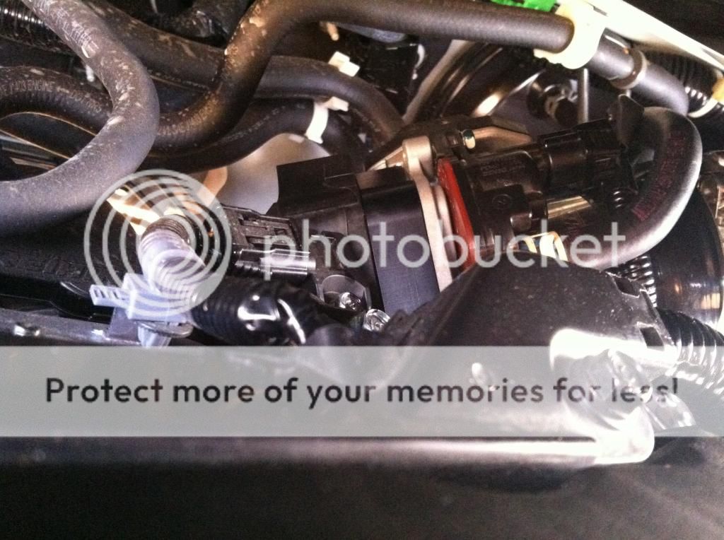IMG_0878_zps2473d2f0.jpg