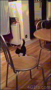 VKBxygA.gif