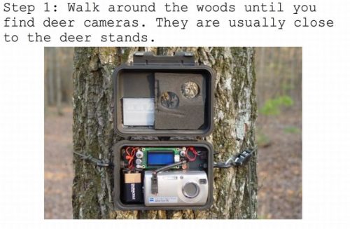 troll_deer_camera0.jpg