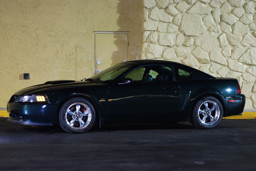 DSC_2145-1.jpg